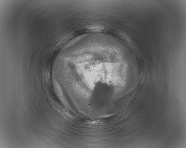 X0000080800365200701021256
