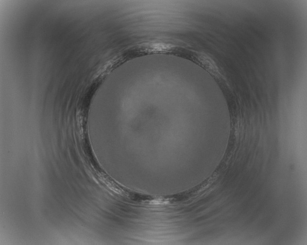 X0000080800366200701021256