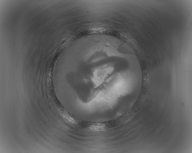 X0000080800369200701021256