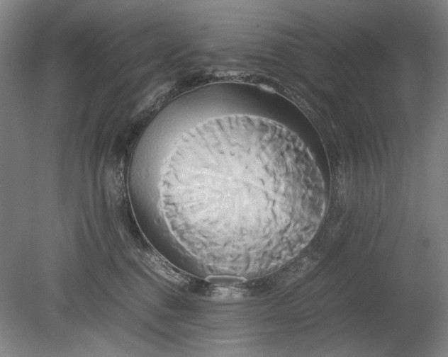 X0000080800376200701021256
