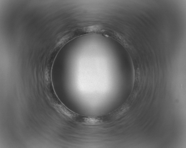 X0000080800380200701021256