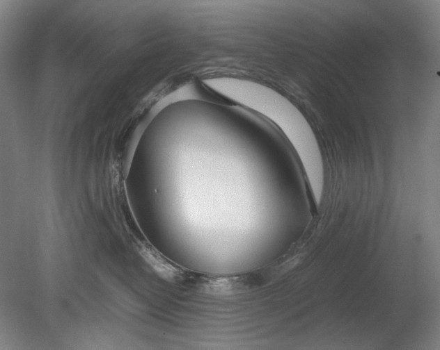 X0000080800382200701021256