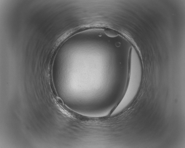 X0000080800389200701021255