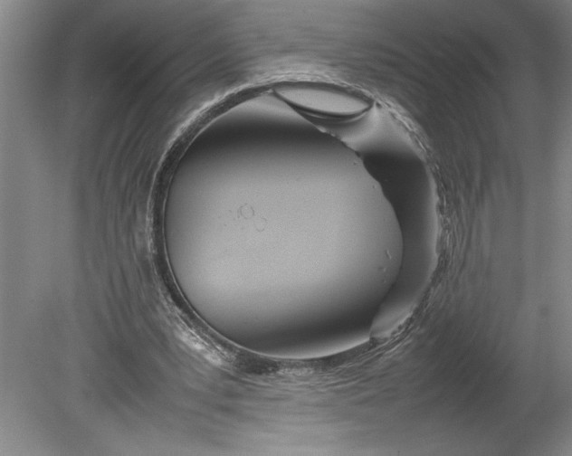 X0000080800391200701021255