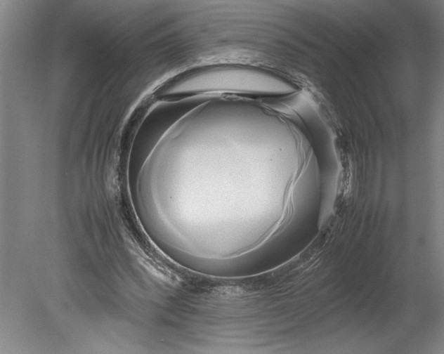 X0000080800392200701021255