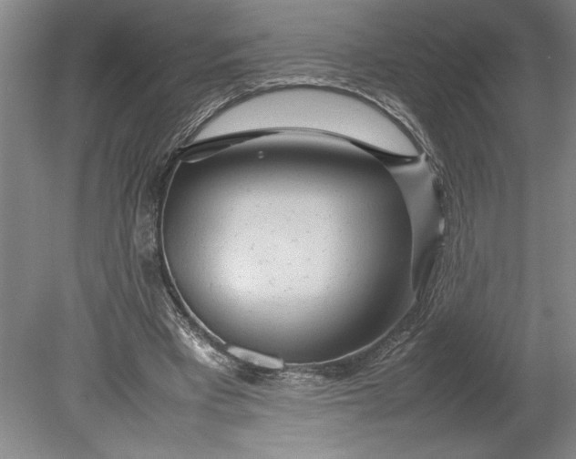 X0000080800393200701021255