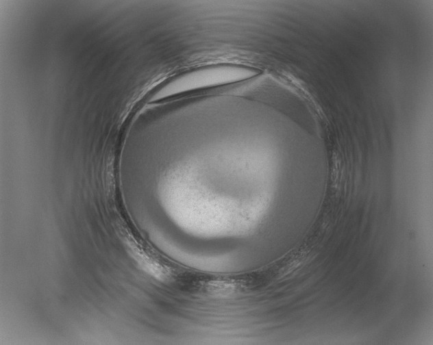 X0000080800394200701021255