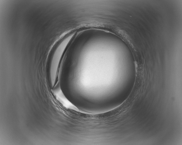 X0000080800395200701021255