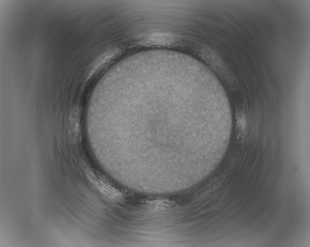 X0000080800396200701021255