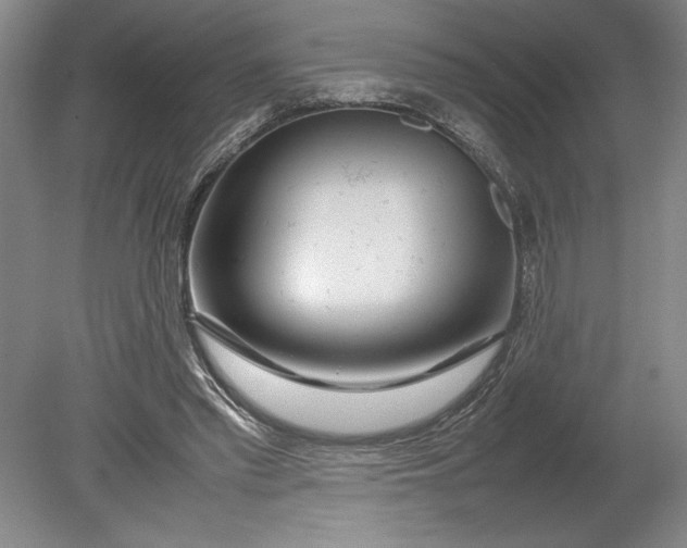 X0000080800397200701021255