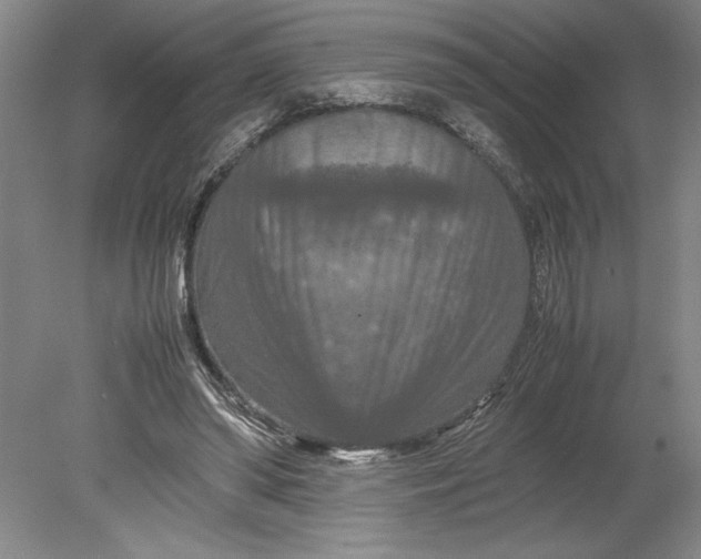 X0000080800398200701021255
