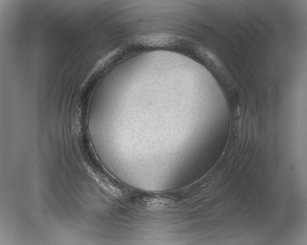 X0000080800400200701021255