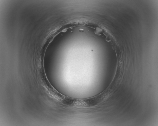 X0000080800403200701021255