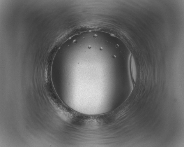X0000080800404200701021255