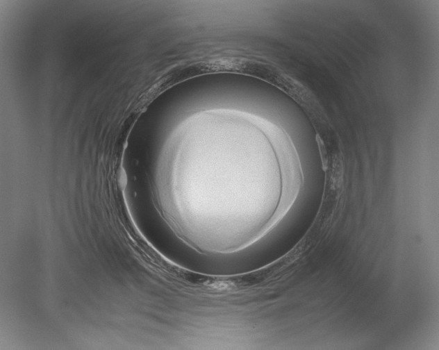 X0000080800409200701021255