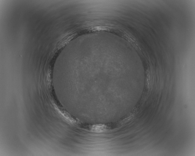 X0000080800410200701021255