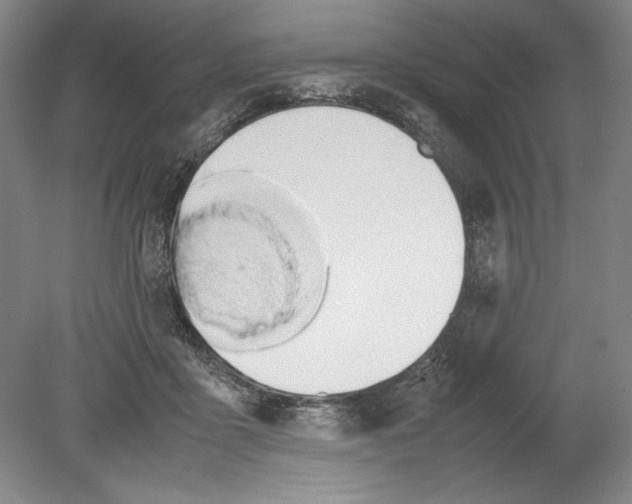 X0000080800411200701021255