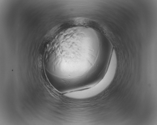 X0000080800413200701021255