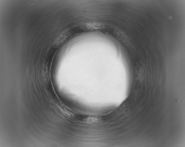 X0000080800418200701021255