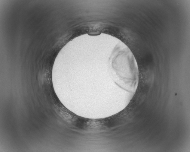 X0000080800419200701021255