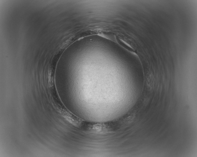 X0000080800420200701021255