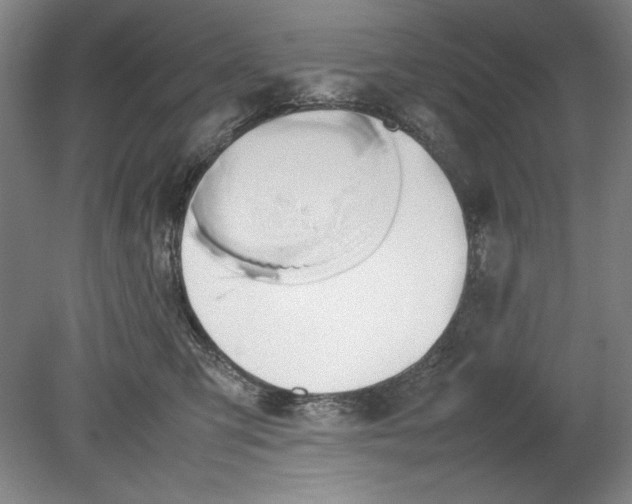 X0000080800423200701021255
