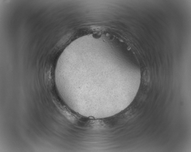 X0000080800424200701021255