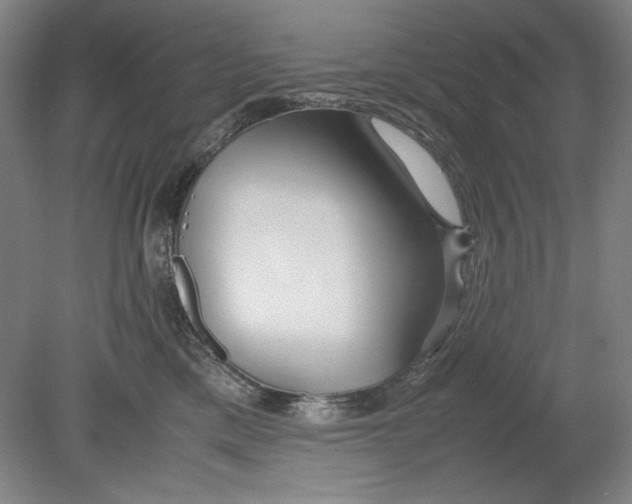 X0000080800425200701021255