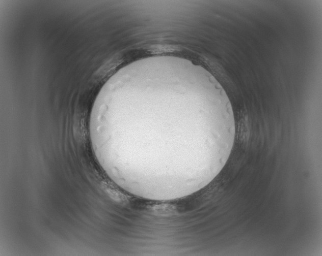X0000080800426200701021255
