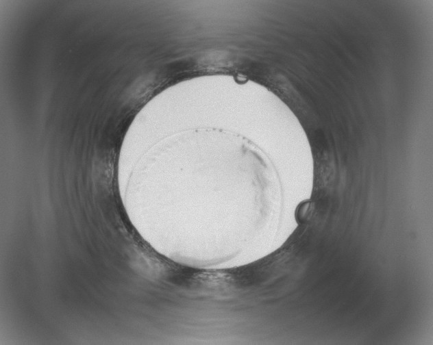 X0000080800427200701021255