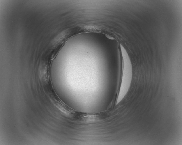 X0000080800428200701021255