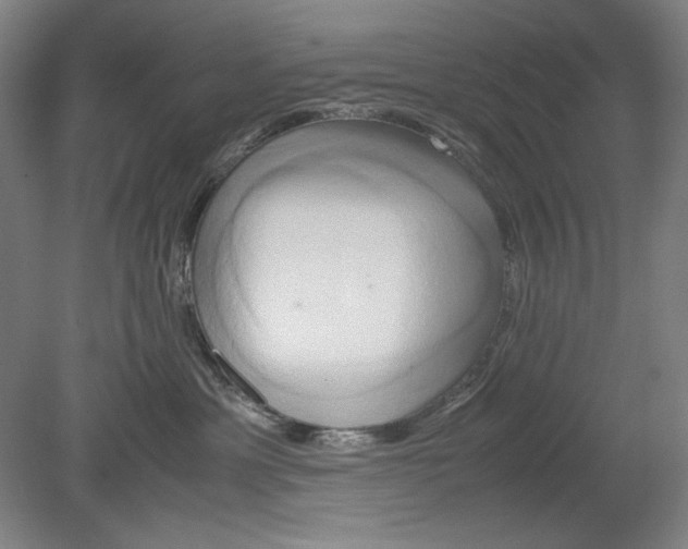 X0000080800429200701021255