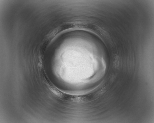 X0000080800430200701021255
