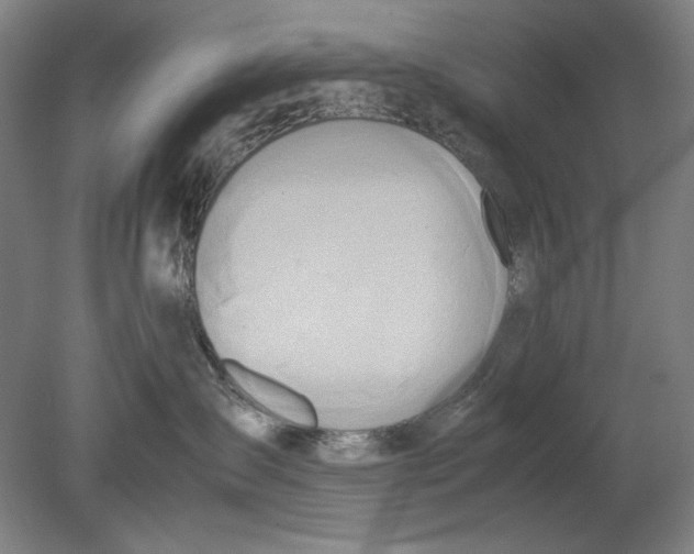 X0000080800431200701021255