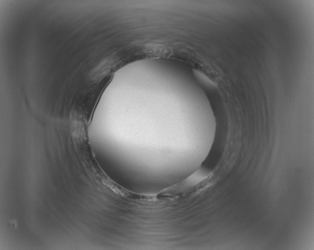 X0000080800432200701021255