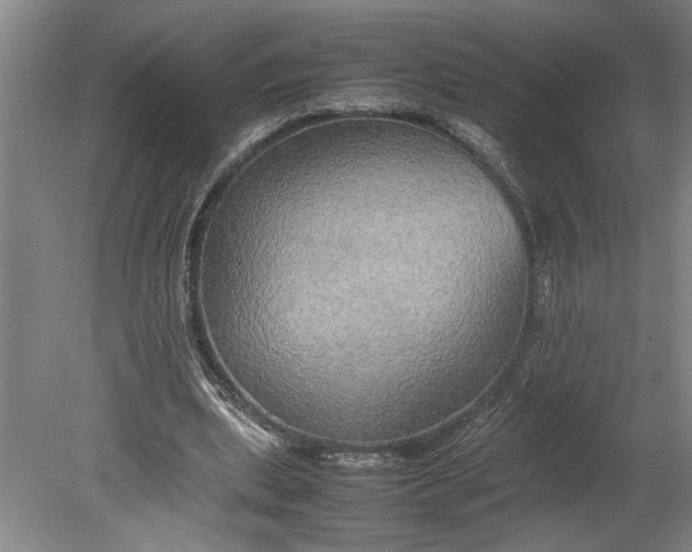 X0000080800439200701021254