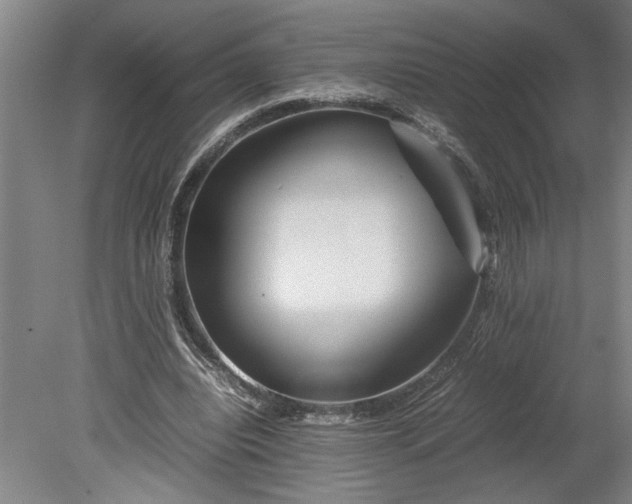X0000080800440200701021254