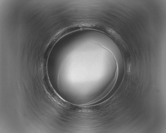 X0000080800444200701021254