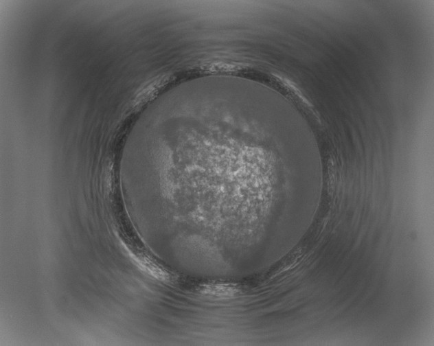 X0000080800451200701021254