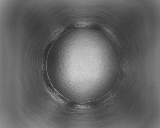 X0000080800455200701021254