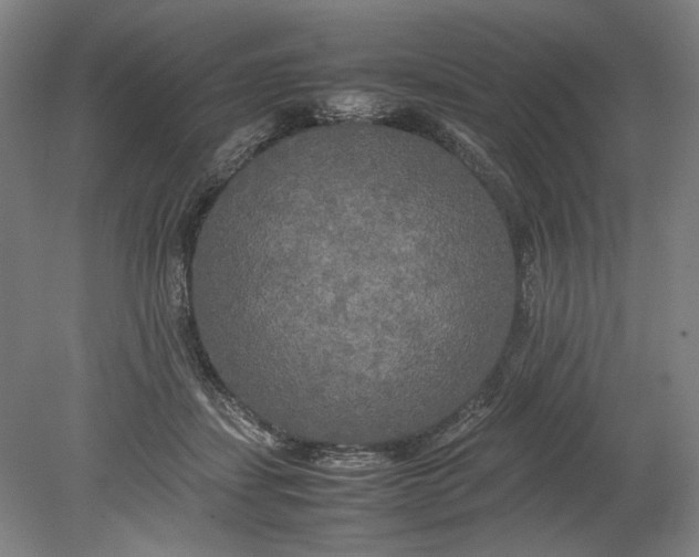 X0000080800459200701021254