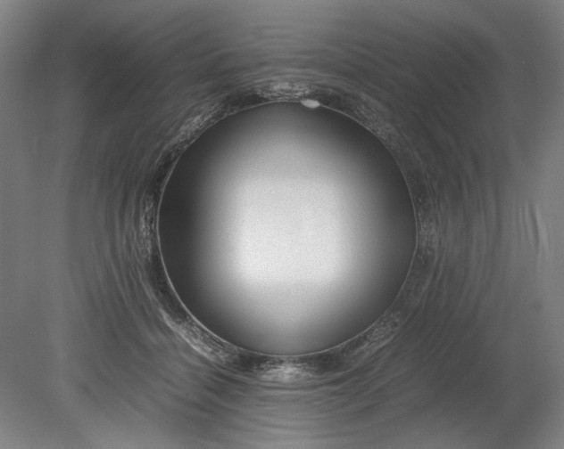 X0000080800460200701021254