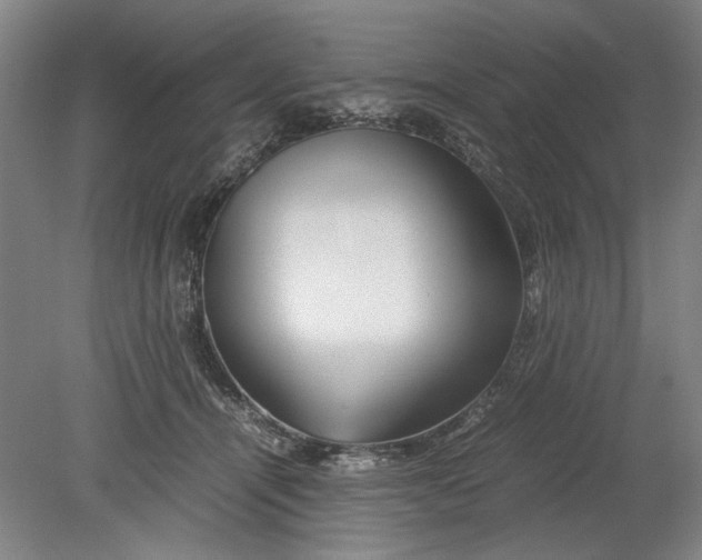 X0000080800464200701021254