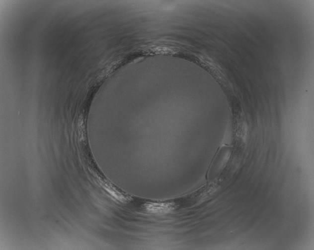 X0000080800465200701021254