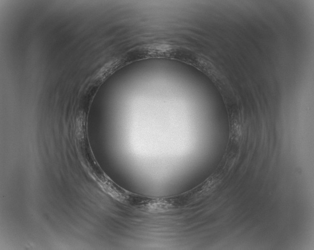 X0000080800468200701021254