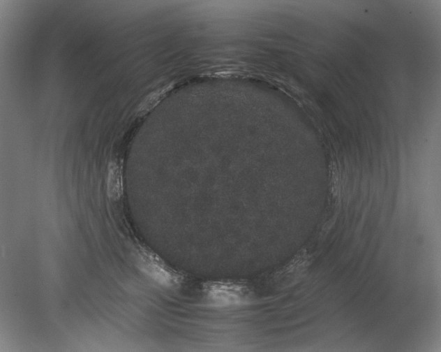 X0000080800471200701021254