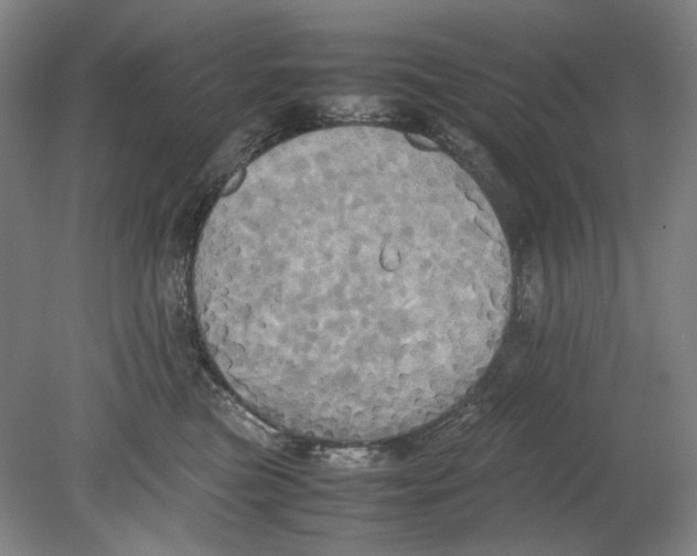 X0000080800473200701021254