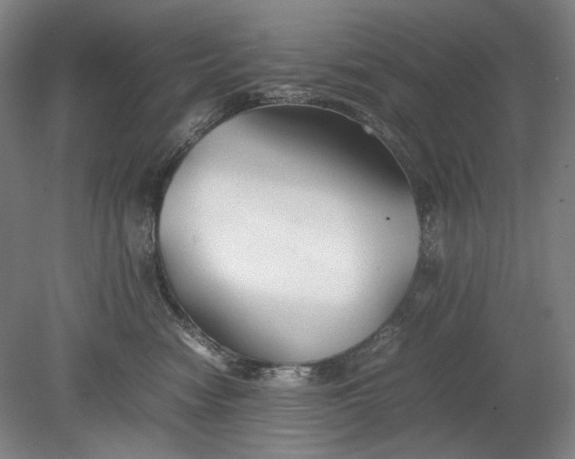 X0000080800474200701021254