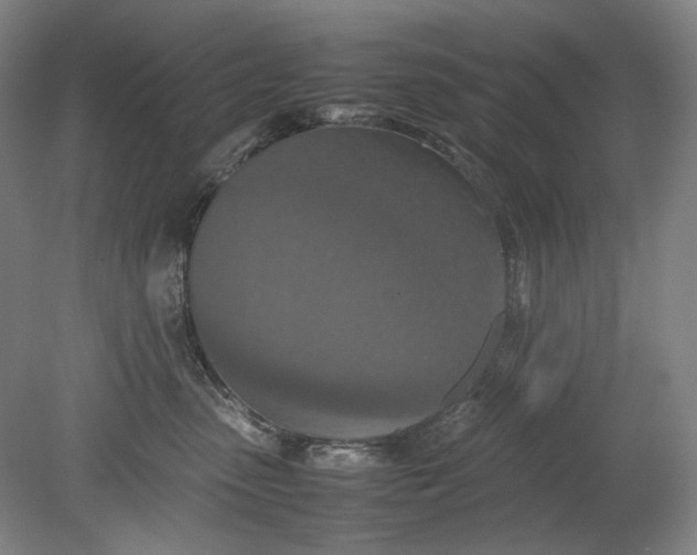 X0000080800475200701021254