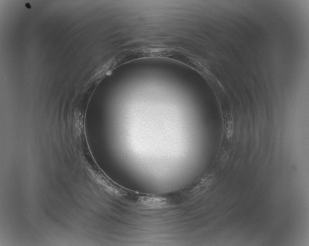 X0000080800476200701021254
